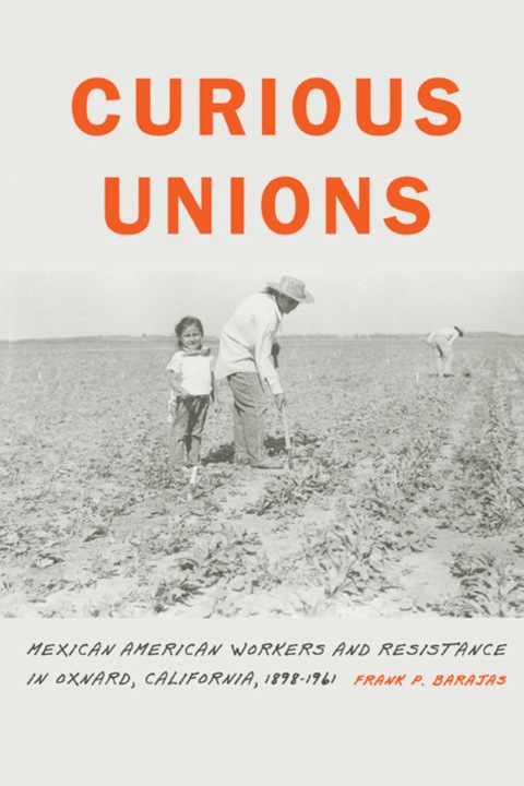 Cover image for book Curious Unions