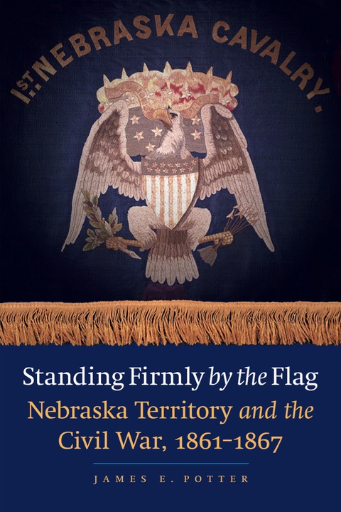 Cover image for book Standing Firmly by the Flag