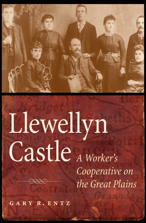 Cover image for book Llewellyn Castle