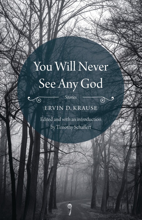 Cover image for book You Will Never See Any God