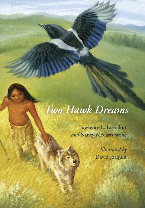Cover image for book Two Hawk Dreams