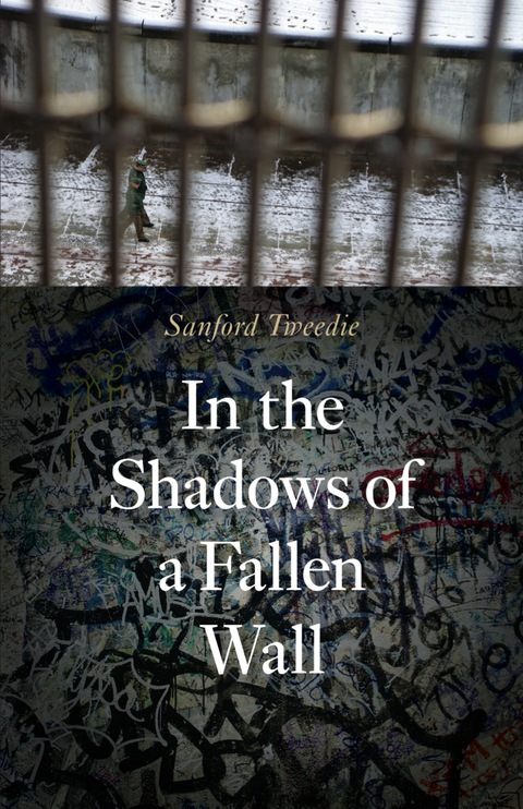 Cover image for book In the Shadows of a Fallen Wall