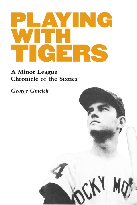 Cover image for book Playing with Tigers