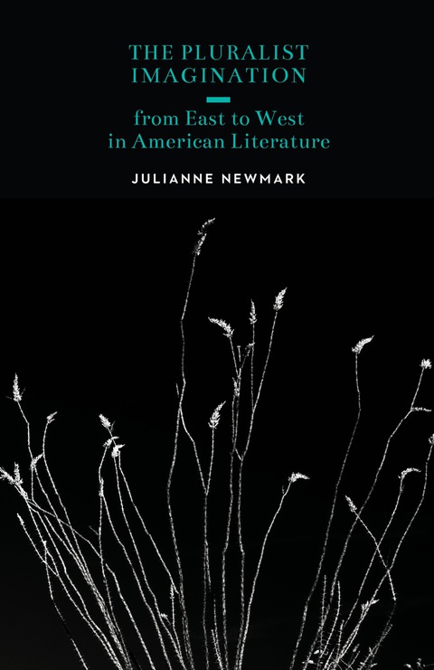 Cover image for book The Pluralist Imagination from East to West in American Literature