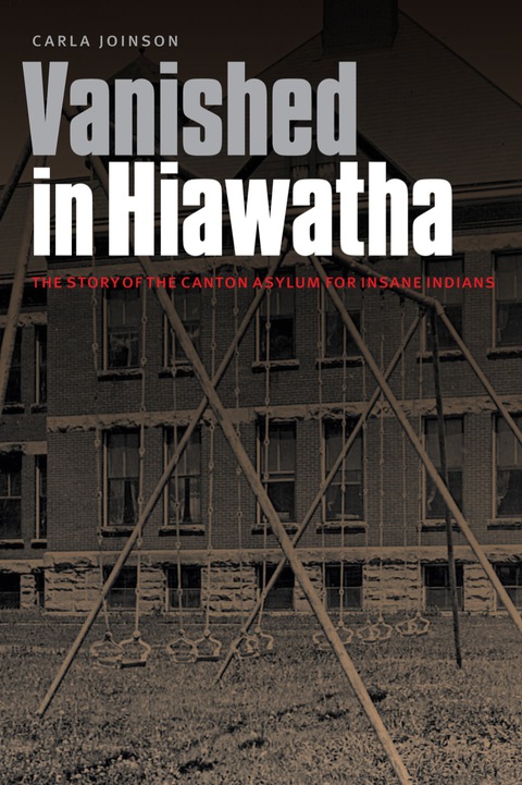 Cover image for book Vanished in Hiawatha