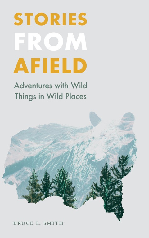 Cover image for book Stories from Afield