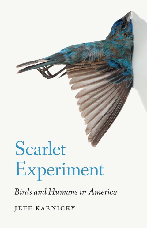 Cover image for book Scarlet Experiment