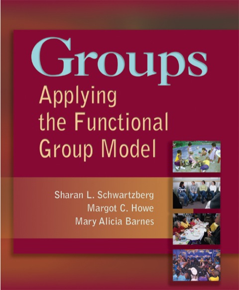 Cover image for book Groups: Applying the Functional Group Model