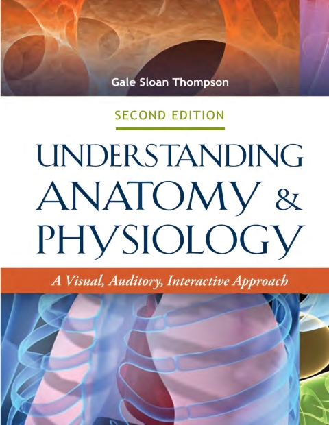 Cover image for book Understanding Anatomy & Physiology: A Visual, Auditory, Interactive Approach