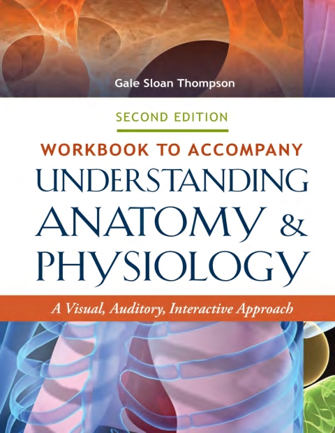 Cover image for book Workbook to Accompany Understanding Anatomy & Physiology