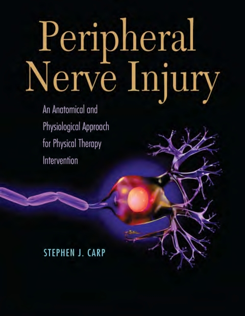 Cover image for book Peripheral Nerve Inury An Anatomical Physiology Approach for Physical Therapy Intervention
