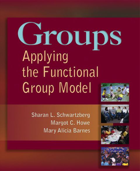 Cover image for book Groups Applying the Functional Group Model