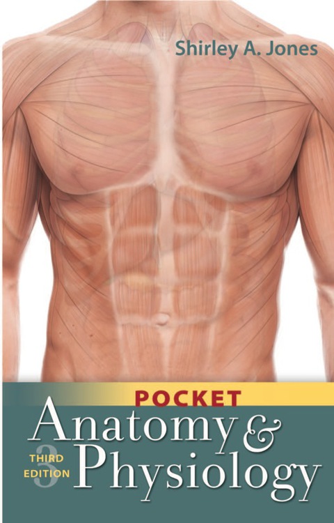 Cover image for book Pocket Anatomy & Physiology