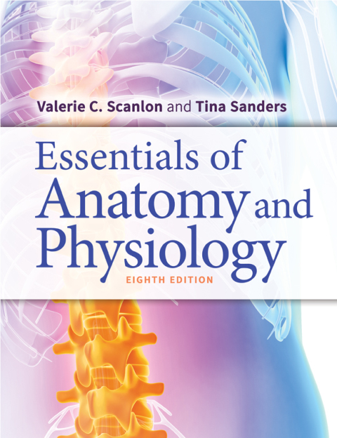 Cover image for book Essentials of Anatomy and Physiology