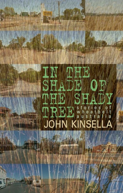 Cover image for book In the Shade of the Shady Tree