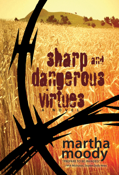 Cover image for book Sharp and Dangerous Virtues