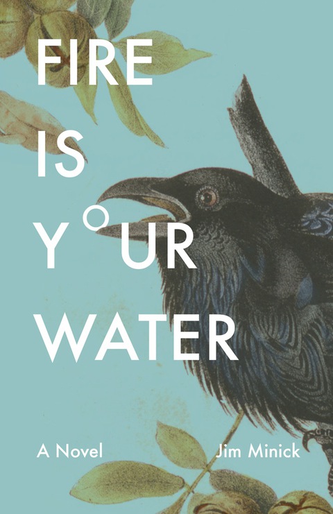 Cover image for book Fire Is Your Water