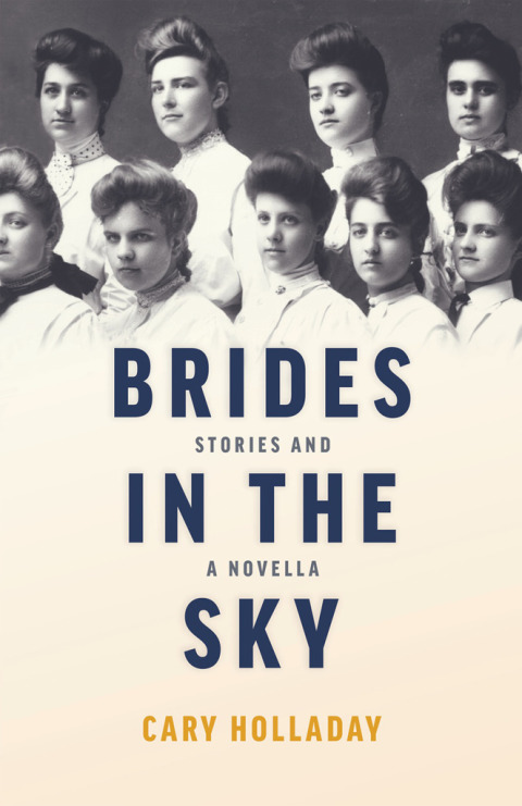 Cover image for book Brides in the Sky