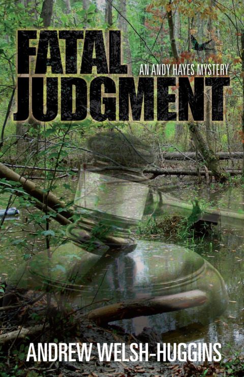 Cover image for book Fatal Judgment