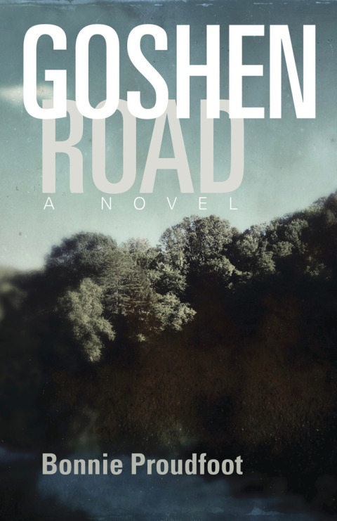 Cover image for book Goshen Road
