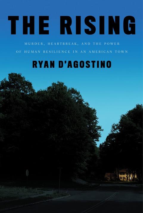 Cover image for book The Rising