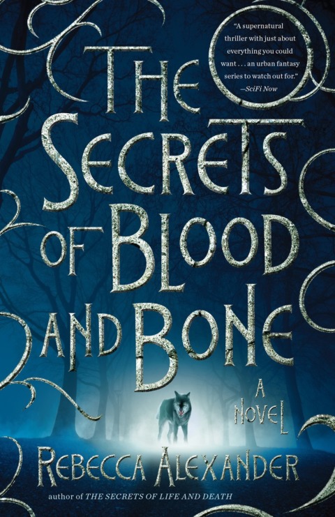 Cover image for book The Secrets of Blood and Bone
