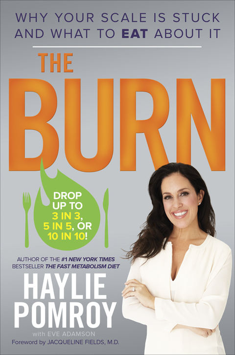 Cover image for book The Burn