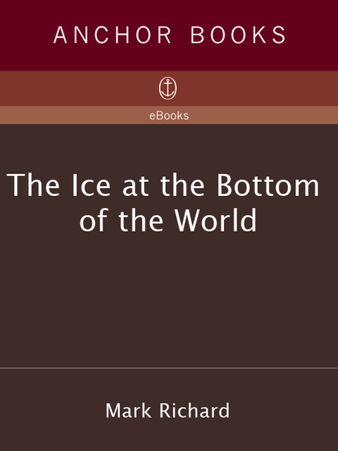 Cover image for book The Ice at the Bottom of the World