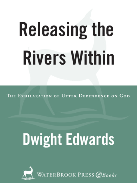 Cover image for book Releasing the Rivers Within