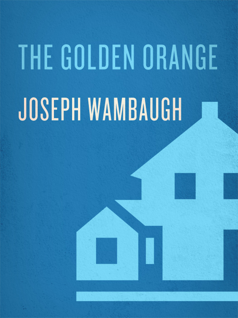 Cover image for book The Golden Orange
