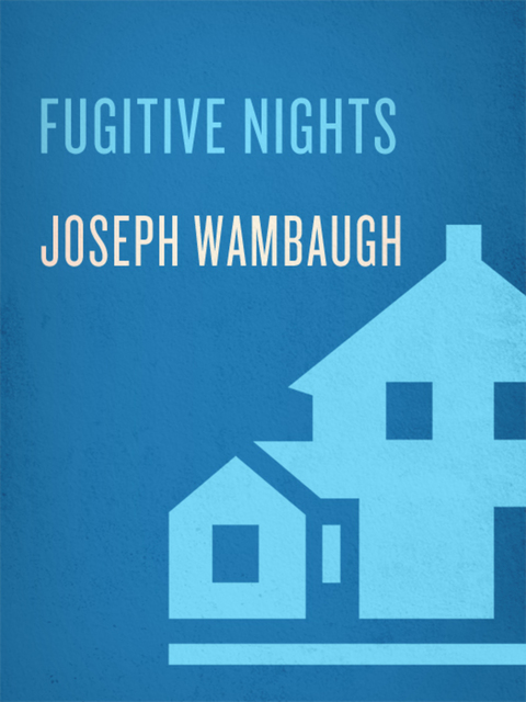 Cover image for book Fugitive Nights