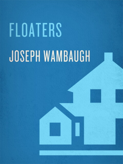 Cover image for book Floaters