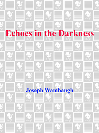 Echoes in the Darkness