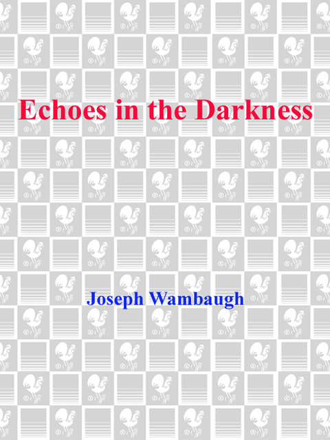 Cover image for book Echoes in the Darkness
