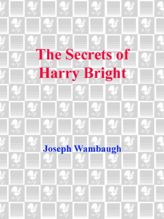 The Secrets of Harry Bright