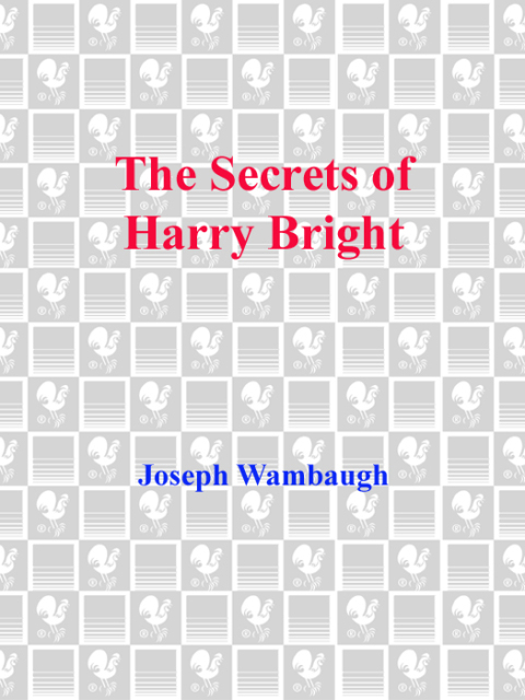 Cover image for book The Secrets of Harry Bright