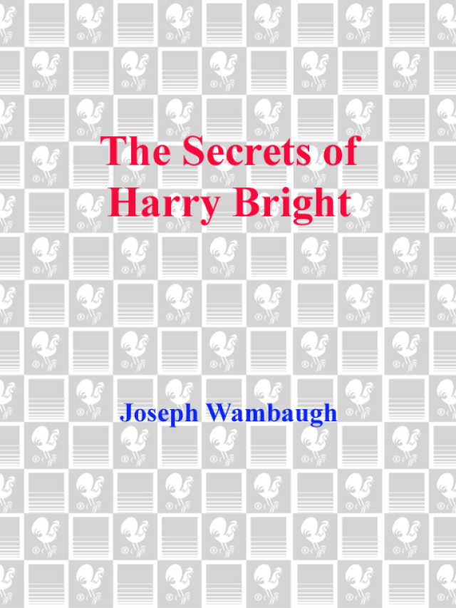 The Secrets of Harry Bright