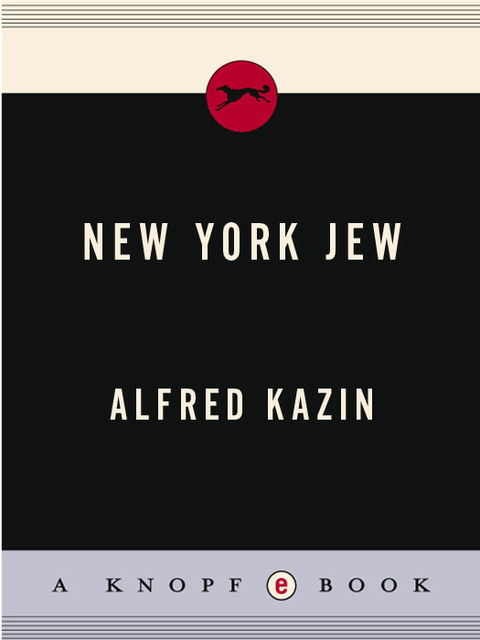 Cover image for book NEW YORK JEW
