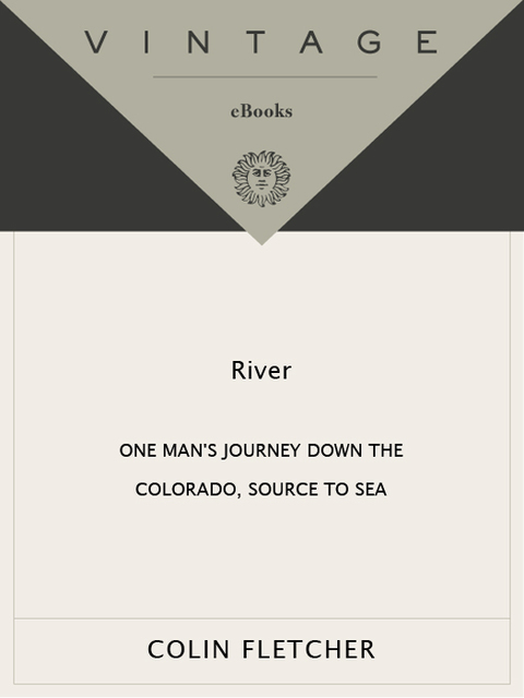 Cover image for book River