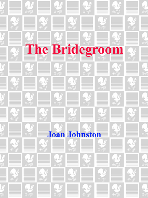 Cover image for book The Bridegroom