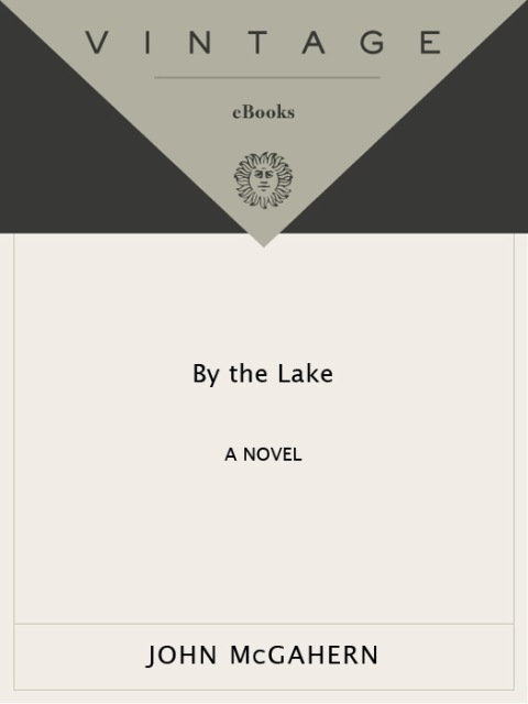 Cover image for book By the Lake