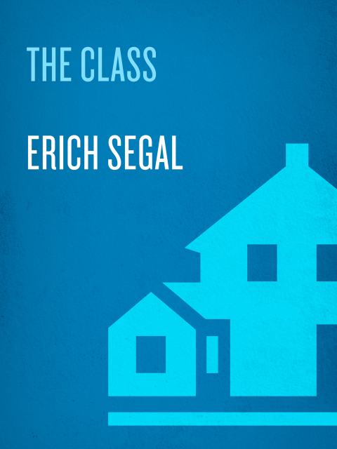 Cover image for book The Class