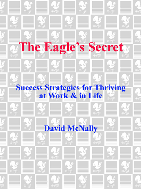 Cover image for book The Eagle's Secret