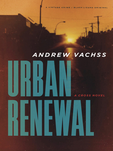 Cover image for book Urban Renewal
