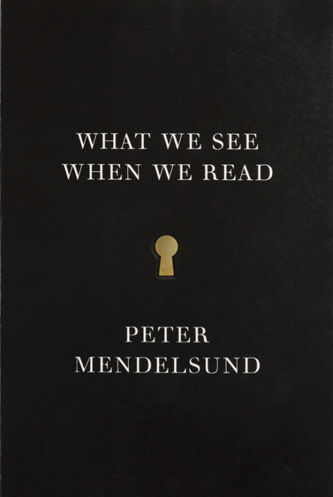 Cover image for book What We See When We Read