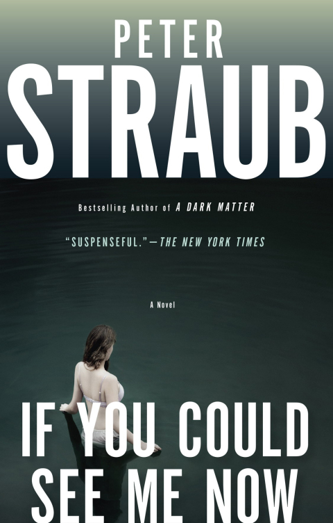 Cover image for book If You Could See Me Now