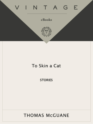 To Skin a Cat