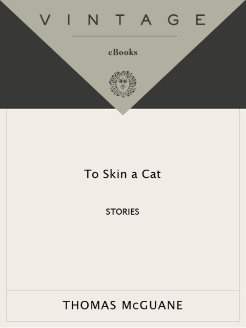 Cover image for book To Skin a Cat