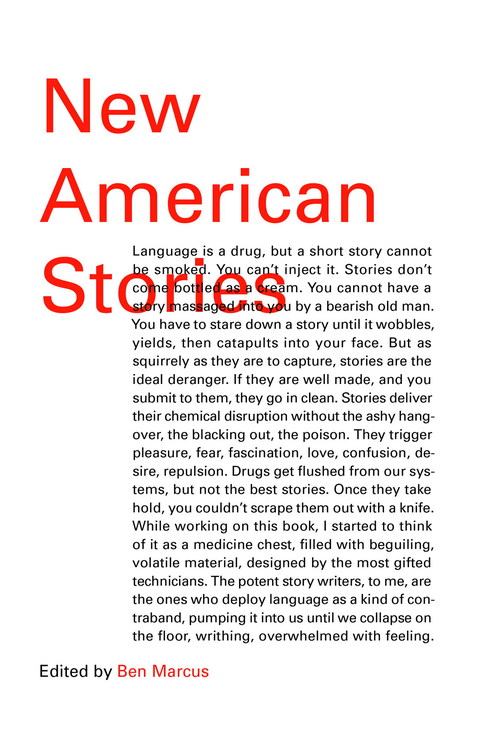 Cover image for book New American Stories