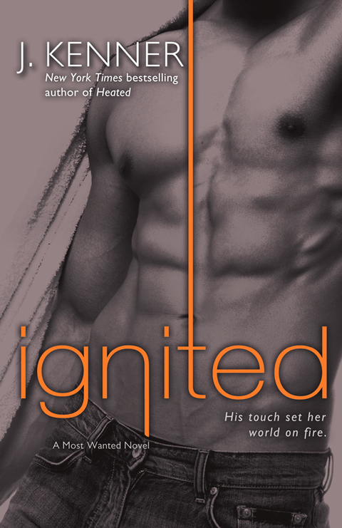 Cover image for book Ignited